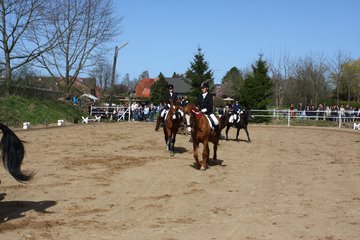 Bild 796 - WBO-Turnier am 9.4.11